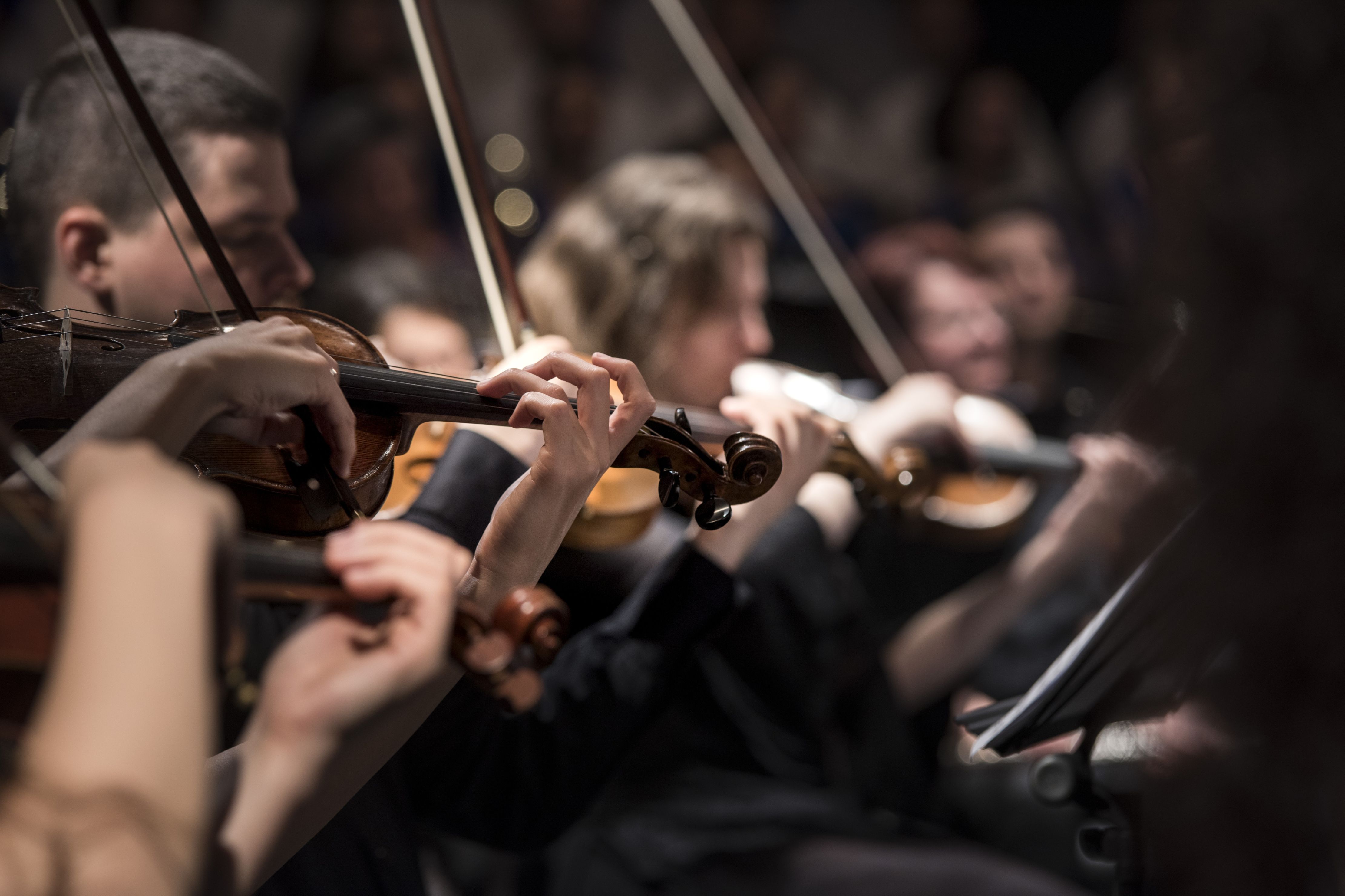 Verzekering van je muziekinstrument: De sleutel tot een muzikaal jaar zonder valse noten